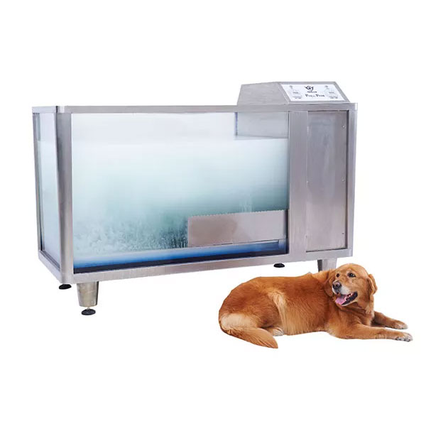 The Ultimate 2026 Guide to Pet Grooming Tubs: Marknadstrender och köpstrategier