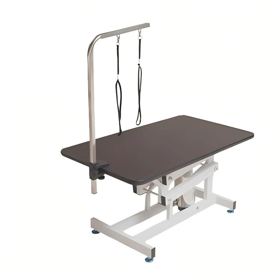 Hydraulic Lifting Vet Vikt Pet Grooming Skönhetsbord för hund