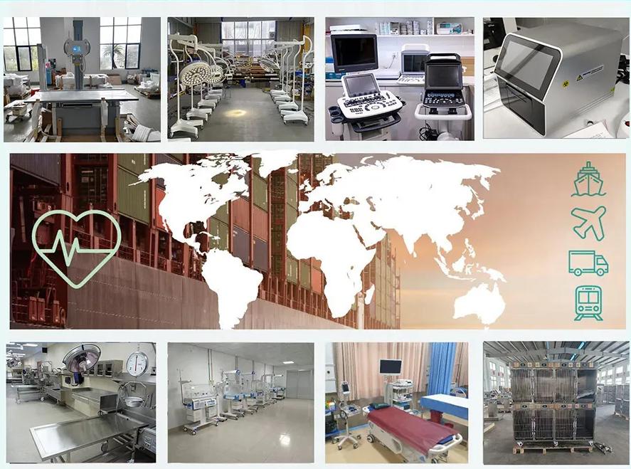 Veterinary Waterproof Fiberglass Modular Dog Cage